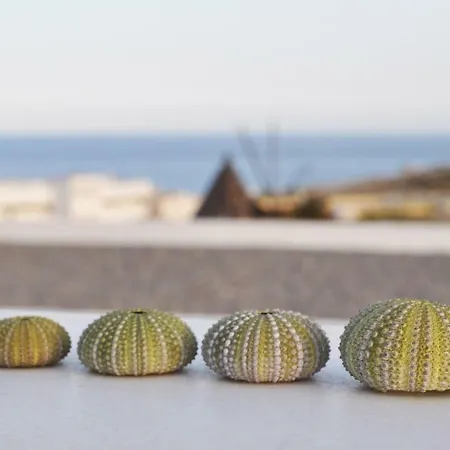 شقة Moderno Con Vistas Al Mar *